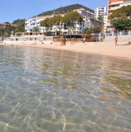 Appartement 50M2 Pied Dans L'Eau Ajaccio  Exterior photo